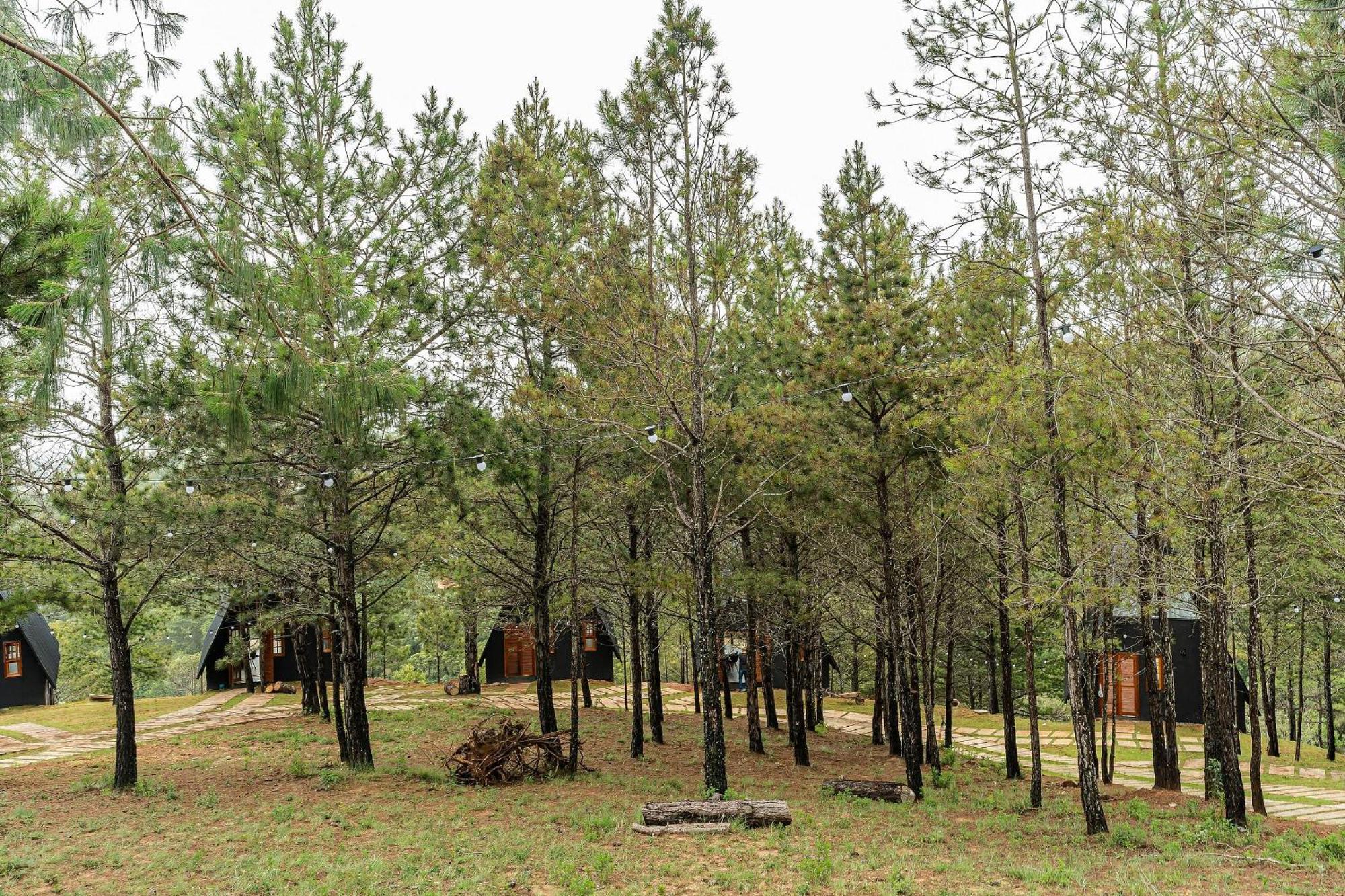 Chales Naturale - Campos Do Jordao - Cna Exterior foto